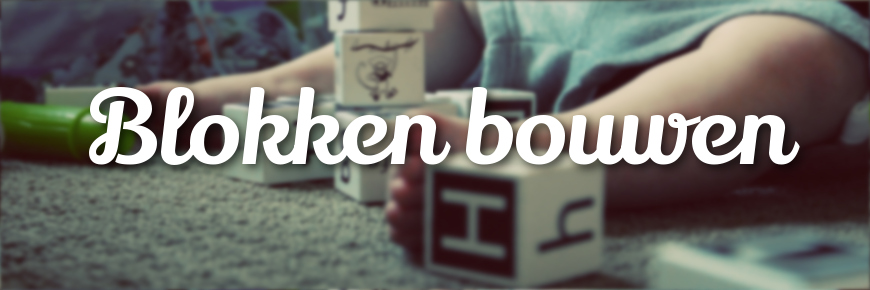 Houten blokken 870x290