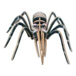 Spin 3D Model