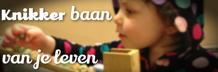 Knikkerbaan Hout