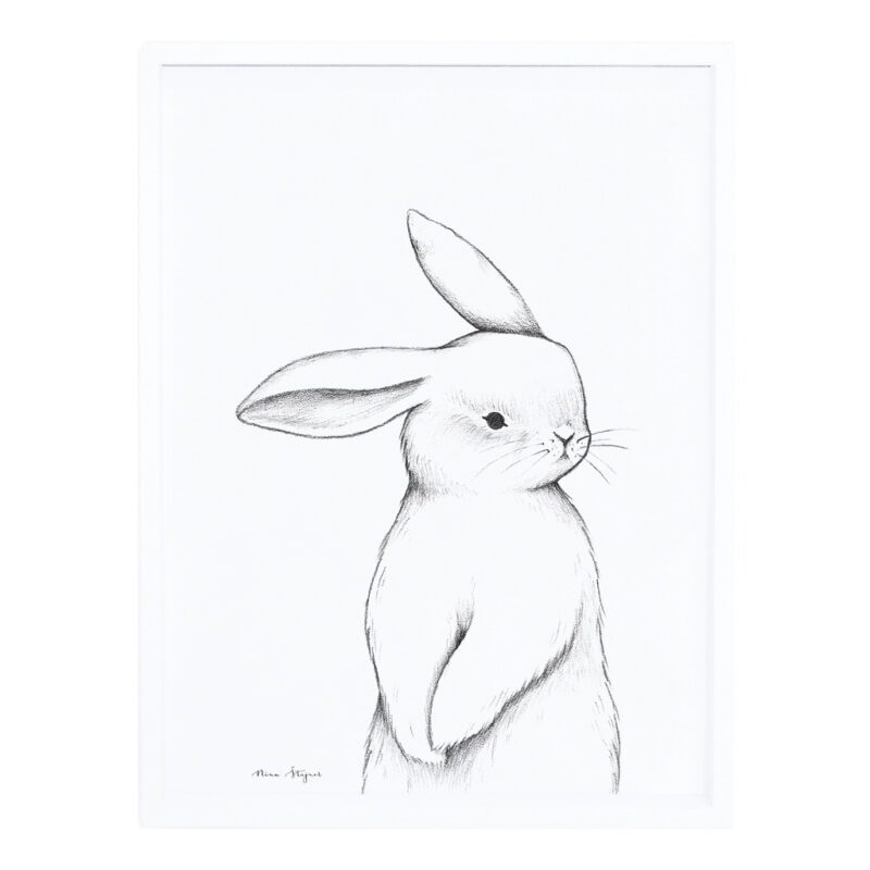 Bunny Front View Poster Met Lijst Lilipinso lili-p0253