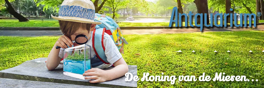 Bekijk het uitgebreide assortiment van Anker Domino Rallye bij QIDDIE.