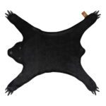 Zwart Beer Vloer En Speelkleed | Lifetime Kidsrooms