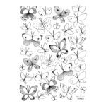 Black & White Butterflies Muursticker A3 Meadow Treasure Lilipinso Lili-S1161