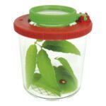 Kijkpot Met Vergrootglas Groot Insecten Potje Loop QIDDIE.com edup-150006