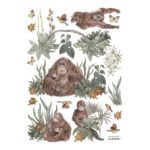 Orang-Oetan Familie Muursticker A3 Utan Lilipinso Orang-Oetan Familie Muursticker A3 Utan Lilipinso Verschillende Aapjes Plakken Muur Aankleding Speels Lief QIDDIE.com Lili-S1439