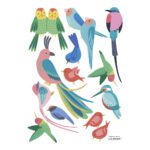 Tropische Vogels Muursticker A3 Rio Lilipinso Baby Peuter Kleuter Kinder Speel Kamer Kleurrijk Jungle QIDDIE.com lili-S1426