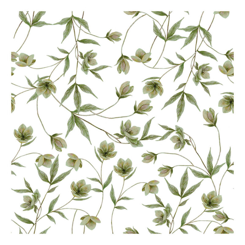 Behang Helleborus Bloemen Groen Wellington Lilipinso Kindkamer Babykamer Bruin Wit QIDDIE.com lili-H0712