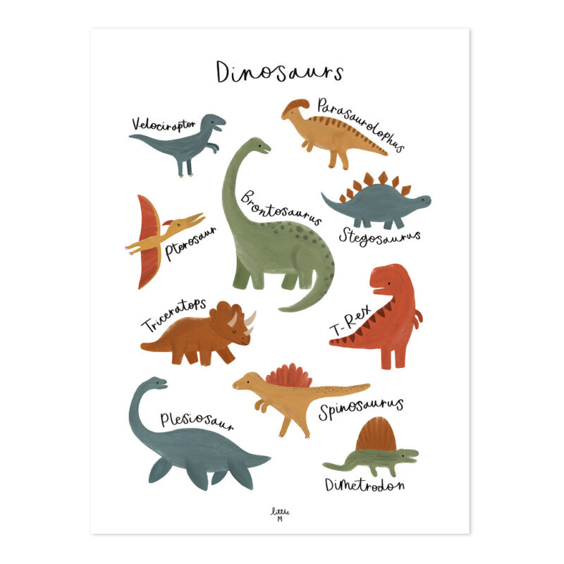 Dinosaurussen Poster Sunny Lilipinso Met Lijst Hout Thema Dinos Aankleding Versiering Cadeau Namen Hoe Heten Ze lili-P0342C