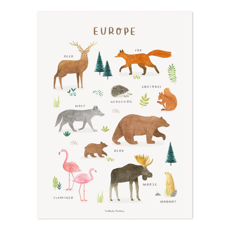 Europa Poster Living Earth Lilipinso Zonder Lijst Kinderkamer Wereld Deel Dieren Beschrijving lili-P0330