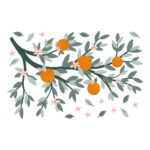 Sinasappels Tak Muursticker Xl Louise Lilipinso Sinasappels Tak Muursticker Xl Louise Lilipinso Orange Muur Decoratie Kinderkamer lili-S1473