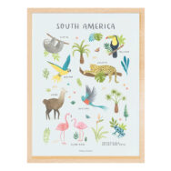 Zuid Amerika Poster Living Earth Lilipinso South America Schilderij Kinderkamer Decoratie Met Lijst Dieren Tropisch Kind Peuter lili-P0333C