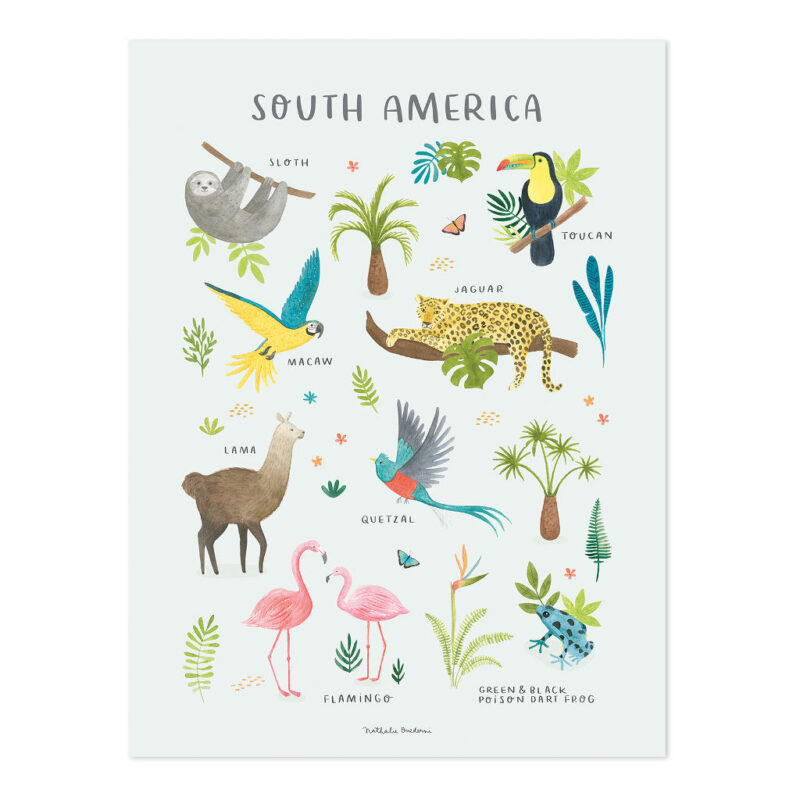 Zuid Amerika Poster Living Earth Lilipinso South America Schilderij Kinderkamer Decoratie Zonder Lijst lili-P0333