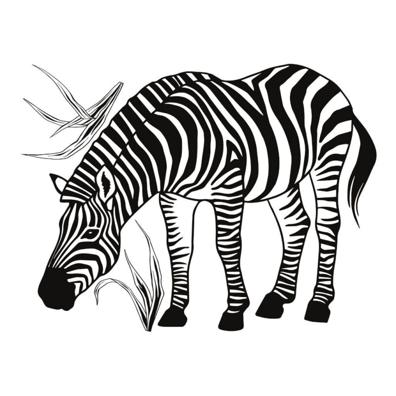 Zwart Wit Zebra Muursticker Xl Black Majik Lilipinso Black White Muur Decoratie Baby Peuter Kleuter Kinderkamer Decoratie Wilde Dieren lili-S1457