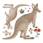 Grote stickers Kangoeroes XL Lilydale Lilipinso