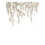 Panoramisch behang Eucalyptusblad Lilydale Lilipinso h0718